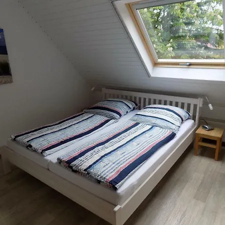 Hafi's Hus *